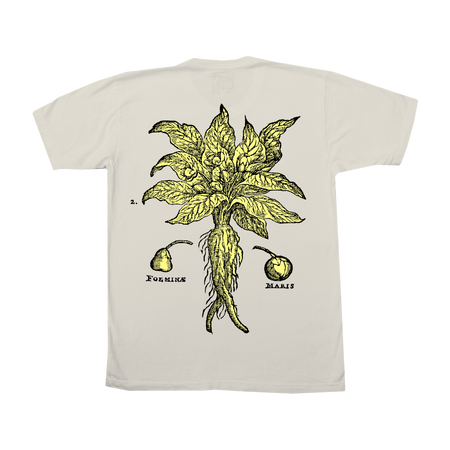 God Turn Me Into A Flower T-Shirt